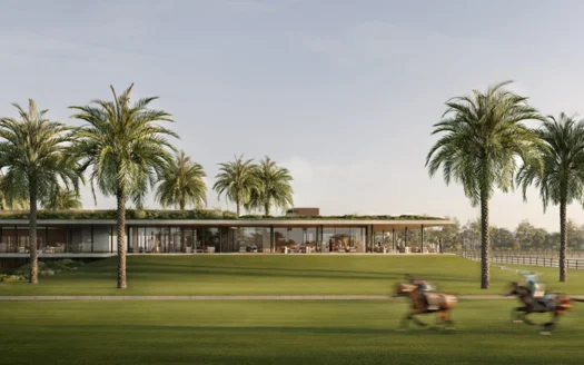 Selvara-Image-Webp-2-525x328