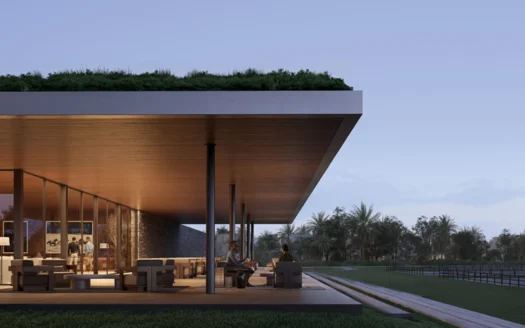 Selvara-Image-Webp-3-525x328